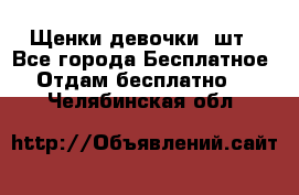 Щенки девочки 4шт - Все города Бесплатное » Отдам бесплатно   . Челябинская обл.